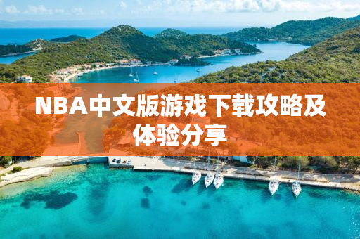 NBA中文版游戏下载攻略及体验分享