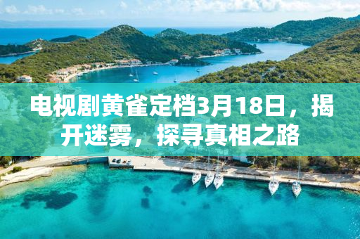 电视剧黄雀定档3月18日，揭开迷雾，探寻真相之路