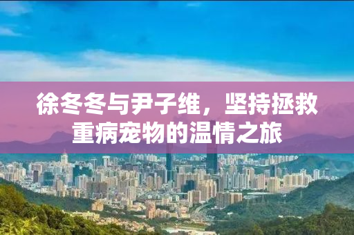徐冬冬与尹子维，坚持拯救重病宠物的温情之旅