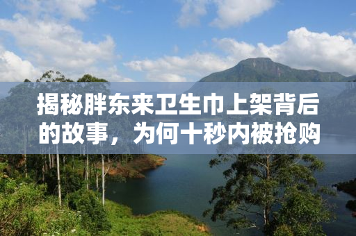 揭秘胖东来卫生巾上架背后的故事，为何十秒内被抢购一空？
