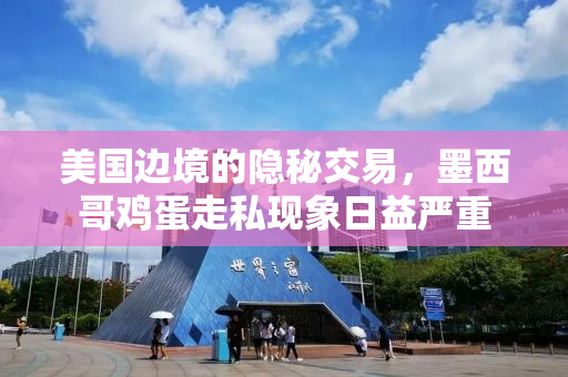 美国边境的隐秘交易，墨西哥鸡蛋走私现象日益严重