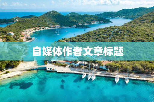 自媒体作者文章标题