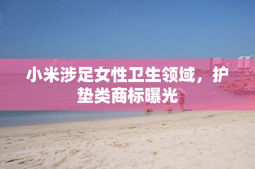小米涉足女性卫生领域，护垫类商标曝光