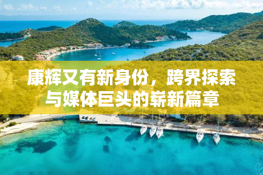 康辉又有新身份，跨界探索与媒体巨头的崭新篇章