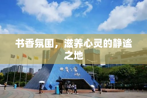 书香氛围，滋养心灵的静谧之地