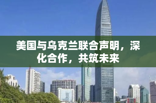 美国与乌克兰联合声明，深化合作，共筑未来