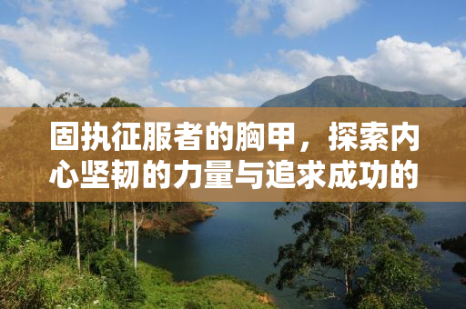 固执征服者的胸甲，探索内心坚韧的力量与追求成功的决心