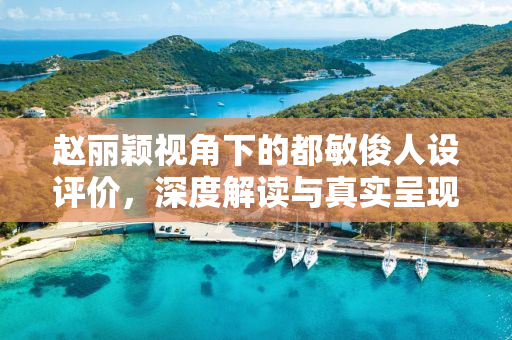 赵丽颖视角下的都敏俊人设评价，深度解读与真实呈现