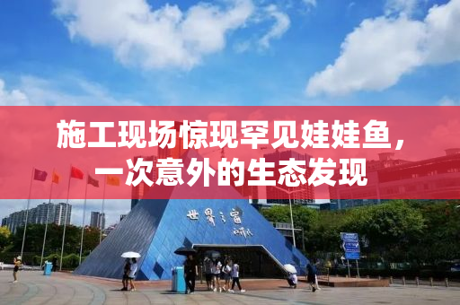 施工现场惊现罕见娃娃鱼，一次意外的生态发现