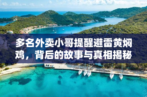 多名外卖小哥提醒避雷黄焖鸡，背后的故事与真相揭秘