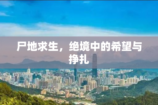 尸地求生，绝境中的希望与挣扎