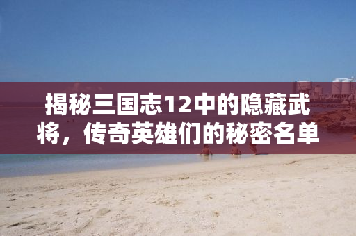 揭秘三国志12中的隐藏武将，传奇英雄们的秘密名单