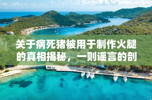 关于病死猪被用于制作火腿的真相揭秘，一则谣言的剖析与澄清