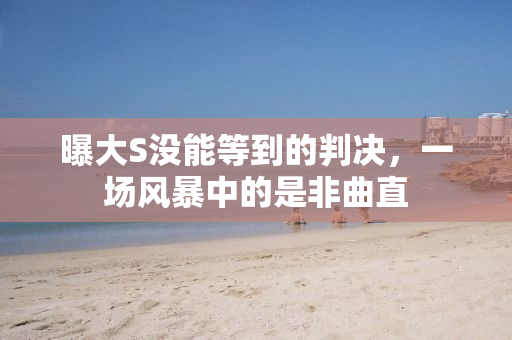 曝大S没能等到的判决，一场风暴中的是非曲直
