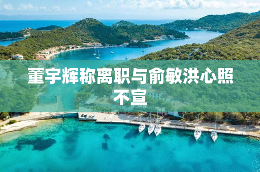 董宇辉称离职与俞敏洪心照不宣
