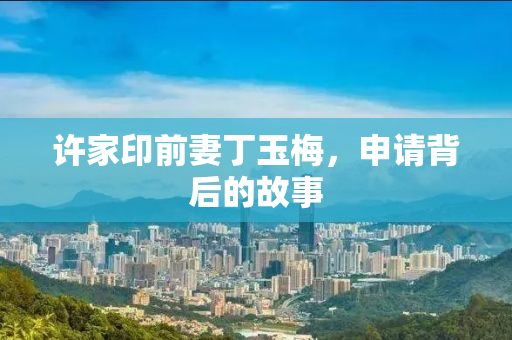 许家印前妻丁玉梅，申请背后的故事
