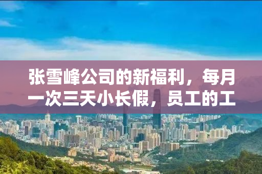 张雪峰公司的新福利，每月一次三天小长假，员工的工作体验如何？
