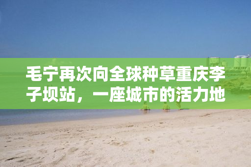 毛宁再次向全球种草重庆李子坝站，一座城市的活力地标与独特魅力