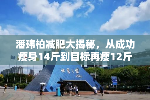 潘玮柏减肥大揭秘，从成功瘦身14斤到目标再瘦12斤的挑战之旅
