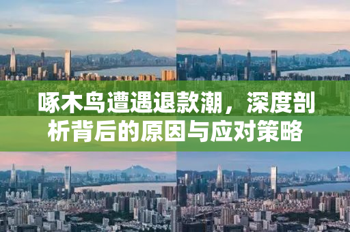 啄木鸟遭遇退款潮，深度剖析背后的原因与应对策略