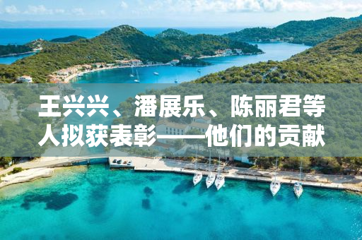 王兴兴、潘展乐、陈丽君等人拟获表彰——他们的贡献与影响力