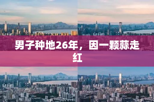 男子种地26年，因一颗蒜走红