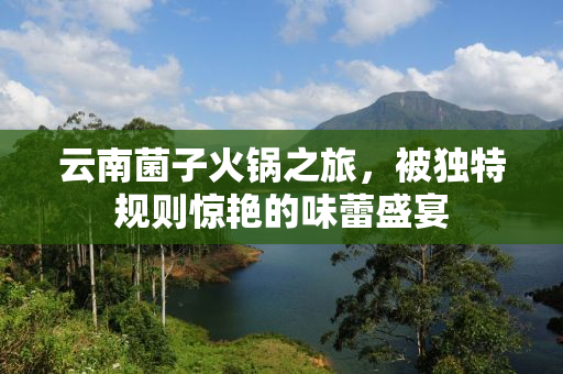 云南菌子火锅之旅，被独特规则惊艳的味蕾盛宴