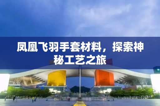 凤凰飞羽手套材料，探索神秘工艺之旅