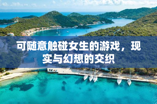 可随意触碰女生的游戏，现实与幻想的交织
