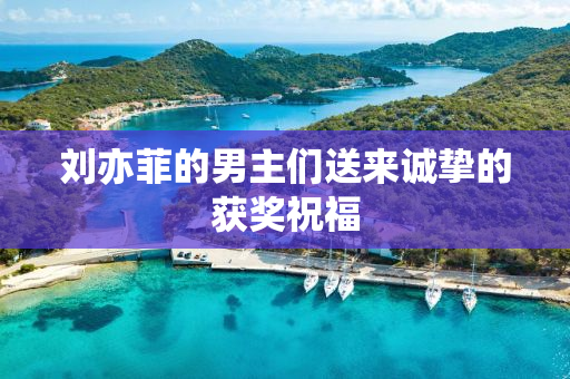 刘亦菲的男主们送来诚挚的获奖祝福