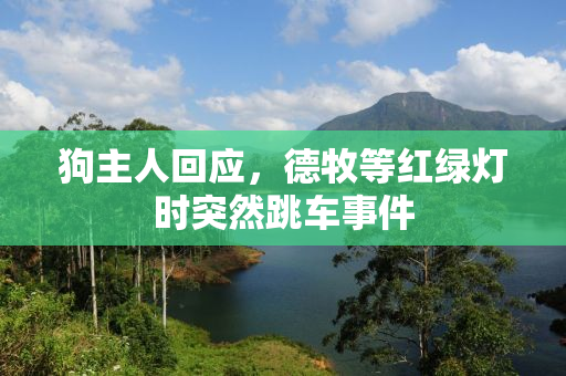 狗主人回应，德牧等红绿灯时突然跳车事件