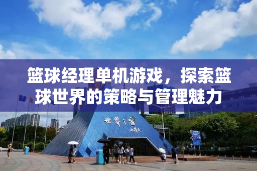 篮球经理单机游戏，探索篮球世界的策略与管理魅力