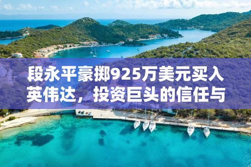 段永平豪掷925万美元买入英伟达，投资巨头的信任与未来展望