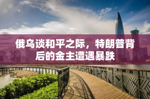 俄乌谈和平之际，特朗普背后的金主遭遇暴跌